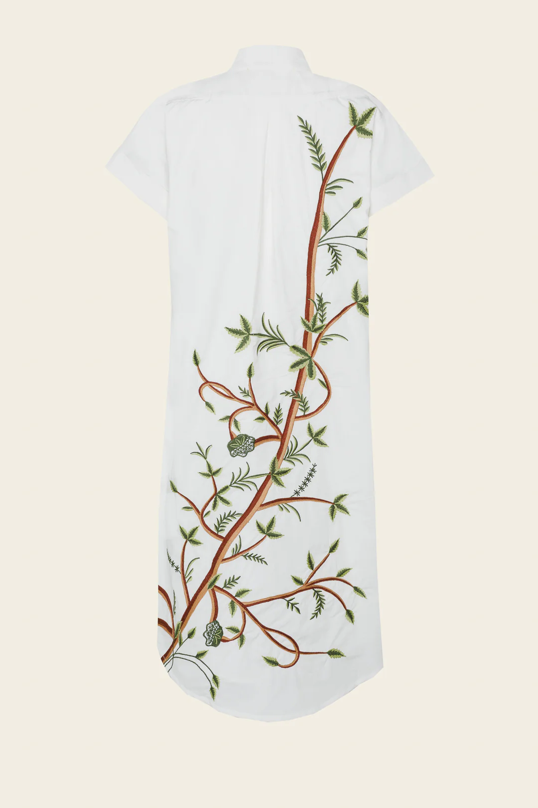 Imagen del producto 8